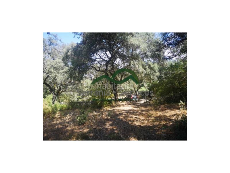 Foto d585424a-c7e0-4012-9cd6-d7bd8422be9c. Maison dans Algatocín