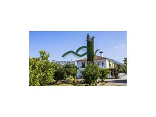 Masia a Grazalema. Cortijo, piscina, 3 ha, 5 dormitorios, 5 baños, grazalema