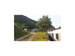 Casa in Benaoján. Finca con casa, naves y olivos. magníficas vistas
