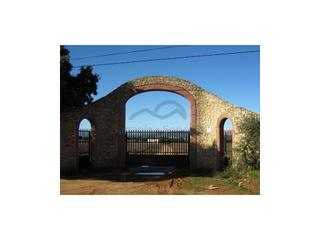 Casa a Casco Histórico. Finca rústica con viñedos y bodega