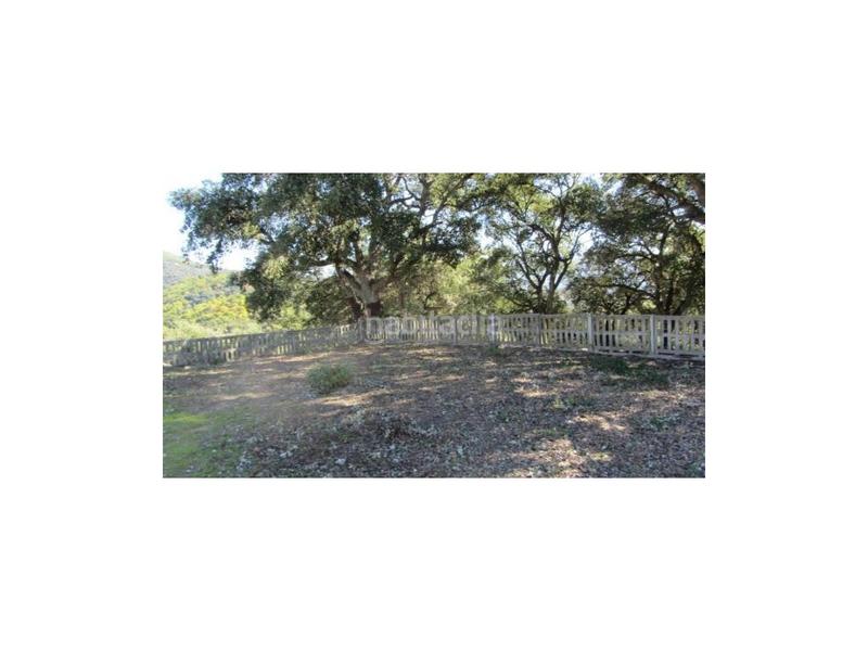 Foto 14a8eaa5-fb47-49cf-ba7e-ca5469c022b1. House in Alpandeire