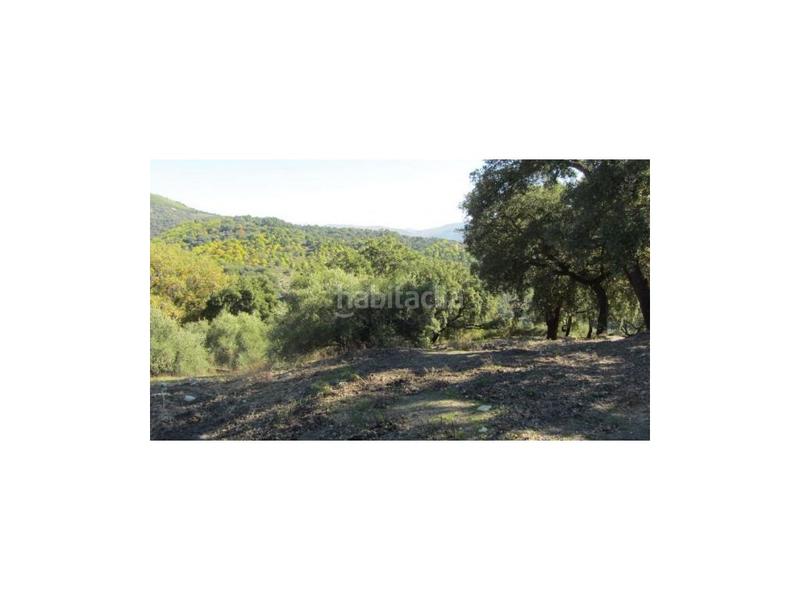 Foto 194a350d-e0fd-4be9-b936-24cefae2381e. House in Alpandeire