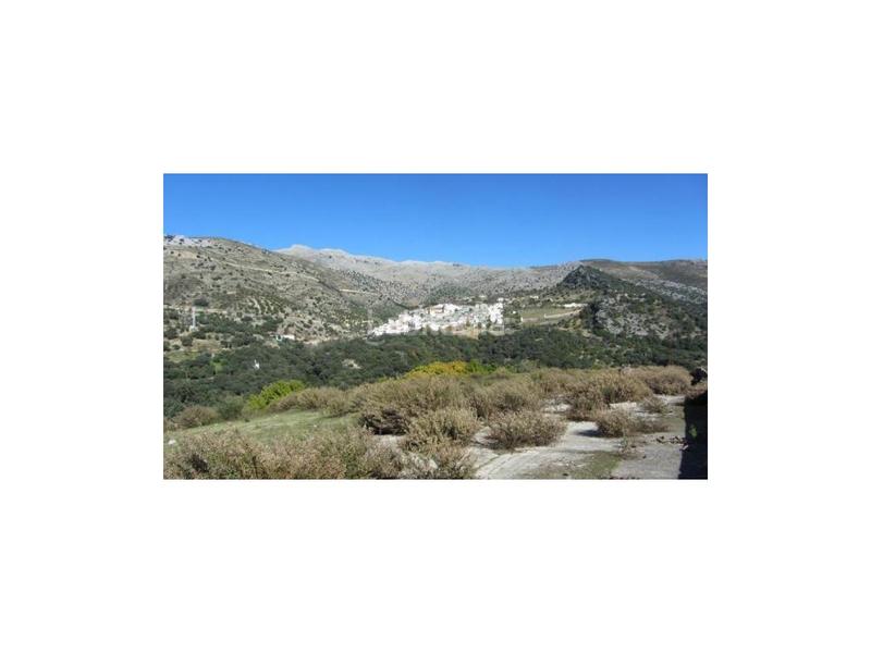 Foto 49020d36-aa09-446e-94e4-cce9e1d33e6e. House in Alpandeire