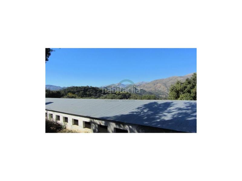 Foto 51bddf60-7bf7-42dc-9d8a-982db2624c94. House in Alpandeire