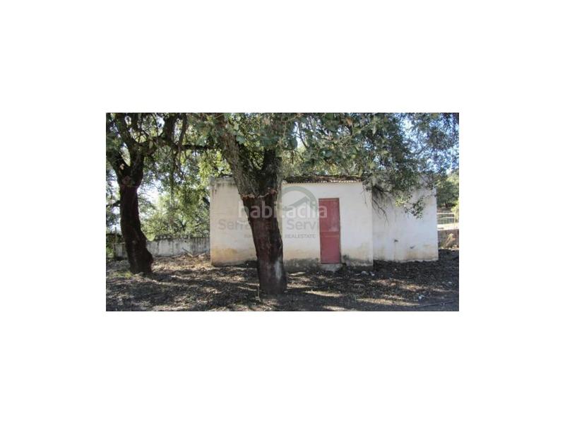 Foto 6439d016-76f2-4a49-b18a-52d8a2c47267. House in Alpandeire