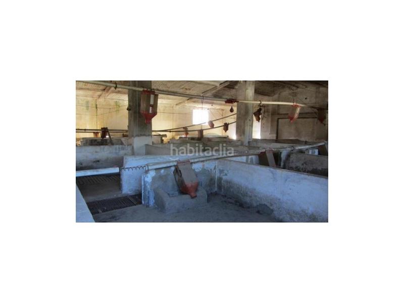 Foto 6fb954c5-8ee0-4737-a1a1-de479e19951f. House in Alpandeire