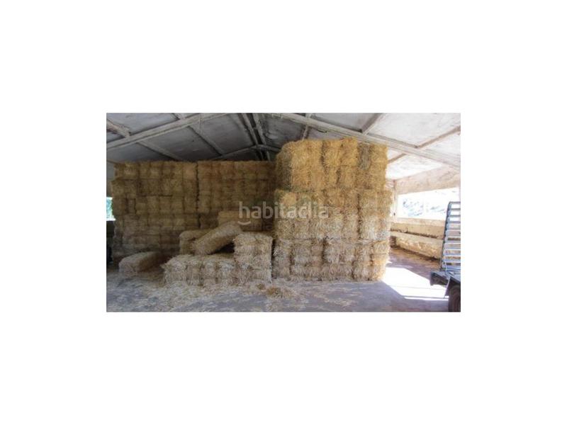 Foto 7d3fcb63-4d02-4a66-ae8b-03e71269d247. House in Alpandeire