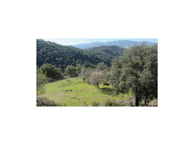 Foto b068f74c-37cb-4d2d-b61d-5c4dfdcc687c. House in Alpandeire