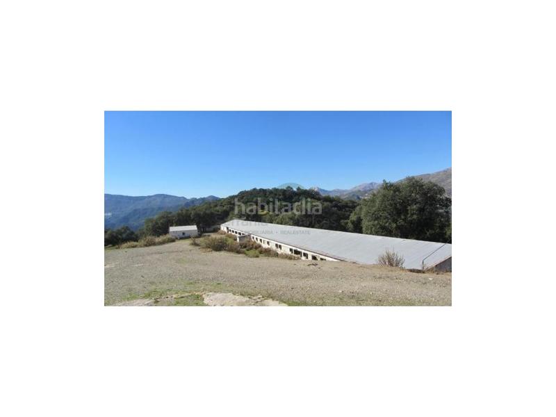 Foto b8ff1be9-80be-4d5d-b864-8c3c4db45101. House in Alpandeire