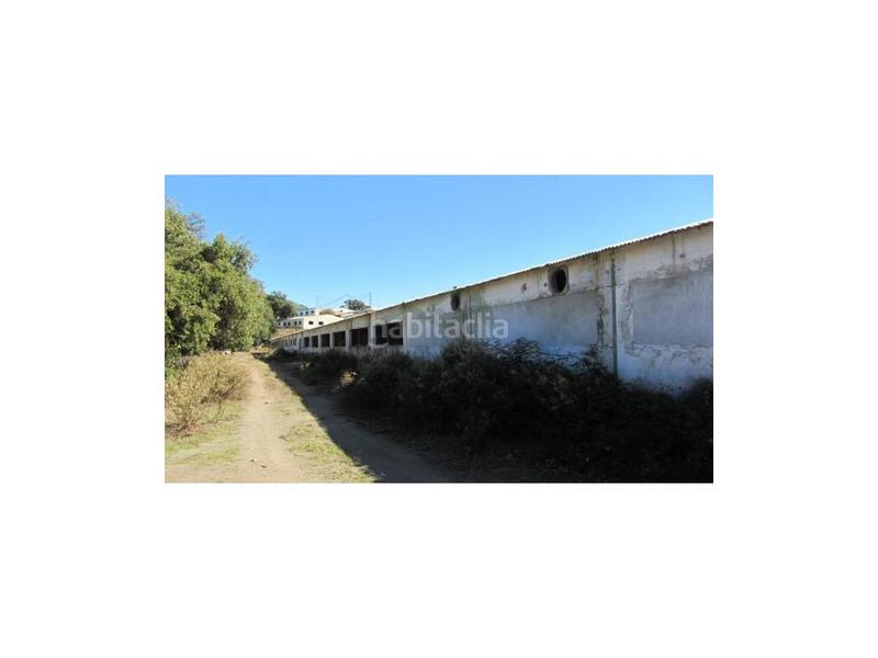 Foto c936acb1-97c3-4fcf-bacc-30185cf9de44. House in Alpandeire