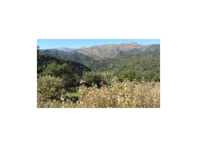 Foto ccfb6639-237a-47e6-8f07-eff06f35886a. House in Alpandeire