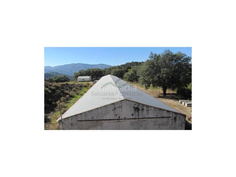 Foto cfadafc6-63c4-4086-82cb-7a2e721567cc. House in Alpandeire