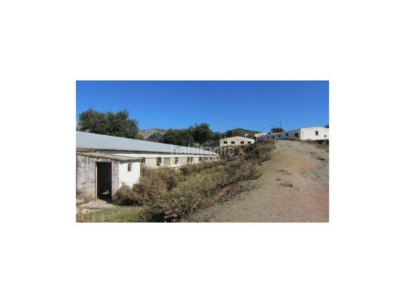 Foto e079b51b-577f-4ef9-bb65-ff256177b39e. House in Alpandeire