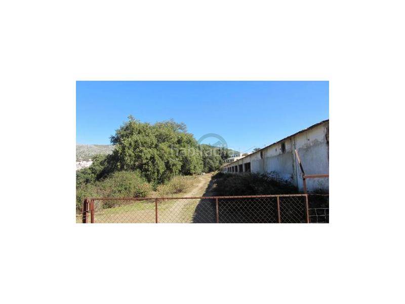 Foto eacb9321-20d2-4f85-b73b-20ca32c67a14. House in Alpandeire