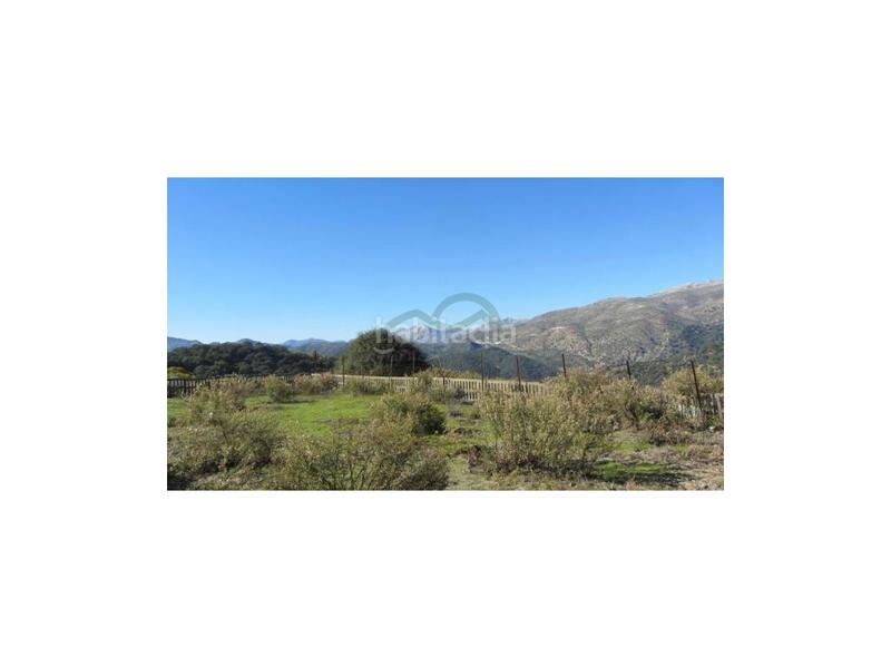 Foto eecf5e9b-ff7e-4a47-ae51-b92b278c6581. House in Alpandeire