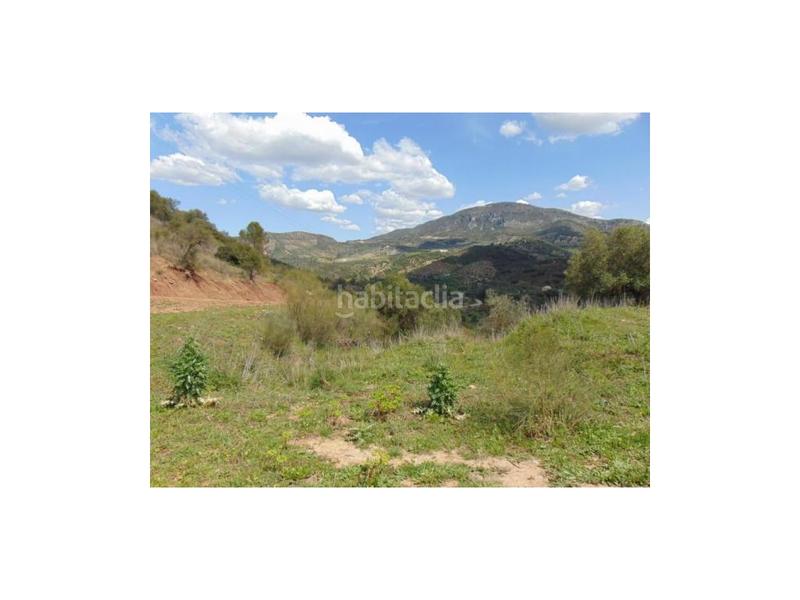 Foto a3f62baa-4b02-4984-a431-a941efbc7011. Haus in Algodonales