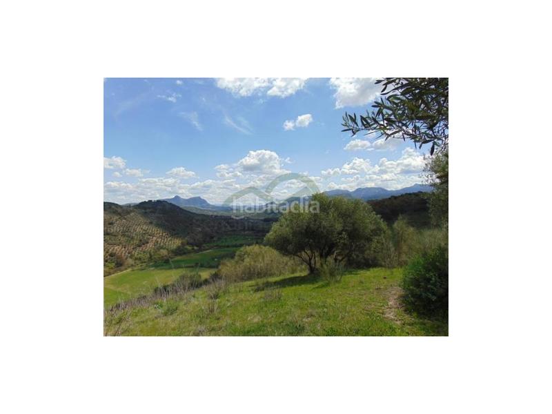 Foto a4c035c8-53b1-47bd-bf65-abb0f9246ef5. Haus in Algodonales