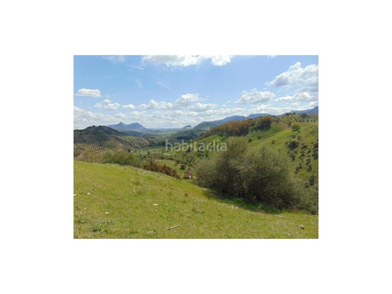 Foto efedf4e1-6160-4b17-af1e-eef1cbac9656. Haus in Algodonales