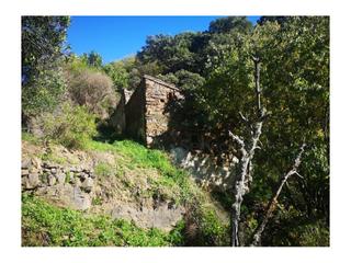 Casa a Genalguacil. Finca, ruina 80m2, frutales, valle del genal