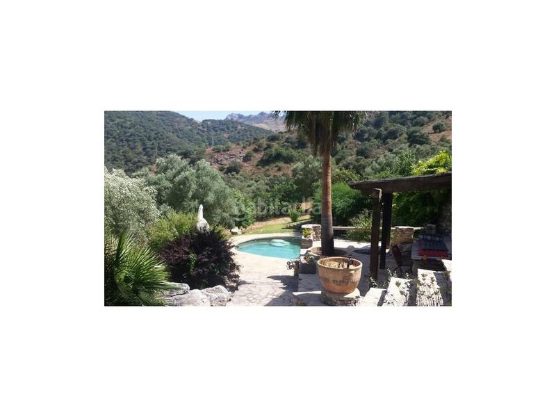 Foto 6b1abea1-5583-4343-8618-44d62fa0eba9. Masía cortijo andaluz, 107 hectáreas en Centro Ronda
