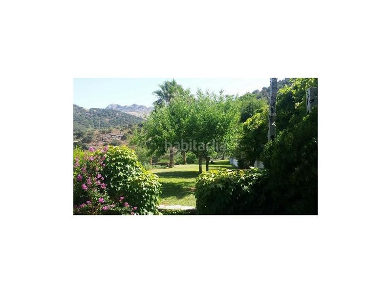 Foto aeab6b32-836b-4bc8-a760-2f141e01fd15. Masía cortijo andaluz, 107 hectáreas en Centro Ronda