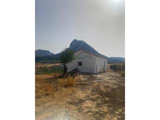 Masia a Montejaque. Serrania services inmobiliaria finca rústica en montejaque con v