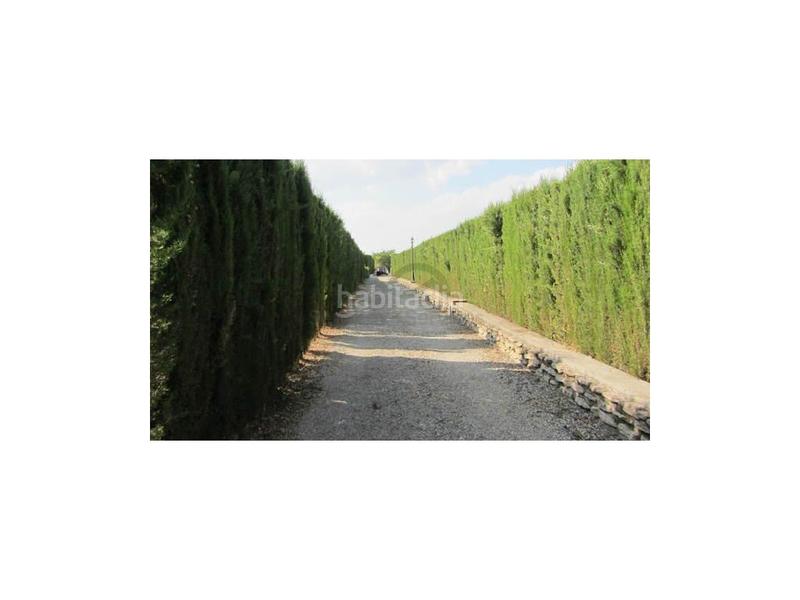 Foto 5ae6464c-24f1-41be-8674-32d1c60a8351. Haus in Centro Ronda