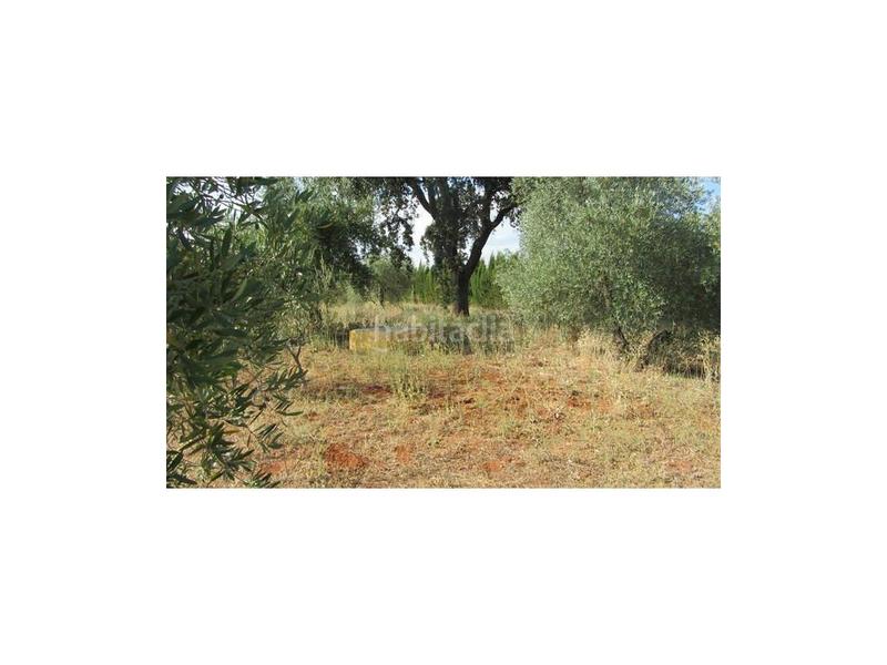 Foto 5b80834c-2e22-472f-a153-58a4a3e91b8e. Haus in Centro Ronda