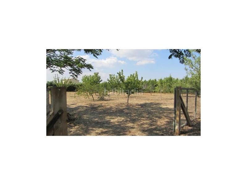 Foto c5c37fa8-ee7d-4586-9147-8cf27e3b5e97. Haus in Centro Ronda