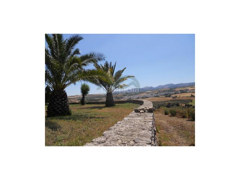 Foto 0b685069-c8c5-4e23-b3a8-347df3ad5286. Mas dans Casco Histórico Ronda