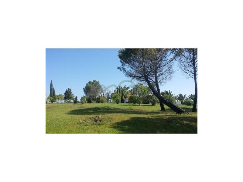 Foto 8598bea8-4a91-4812-adbb-6036dd86afc4. Mas dans Casco Histórico Ronda