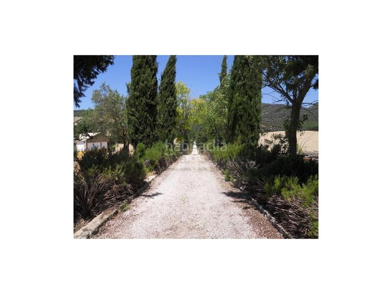 Foto a5fdd92a-31b2-47a9-9230-0e4c344f726b. Mas dans Casco Histórico Ronda