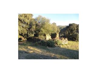 Casa a Gaucín. Finca de encinas, casa de piedra, 4 hectares