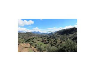 Casa a Algodonales. Finca para reformar, 15.2 h. vistas espectaculares
