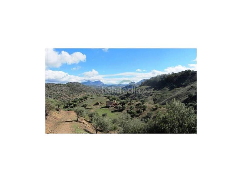 Foto 9f5f307d-f2e2-4ee6-ad72-535ec7eacd25. Casa a Algodonales