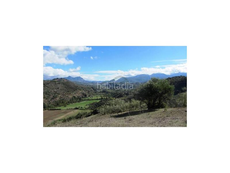 Foto f906f9d1-8706-4847-b1eb-3f6d2953d9ec. Casa a Algodonales