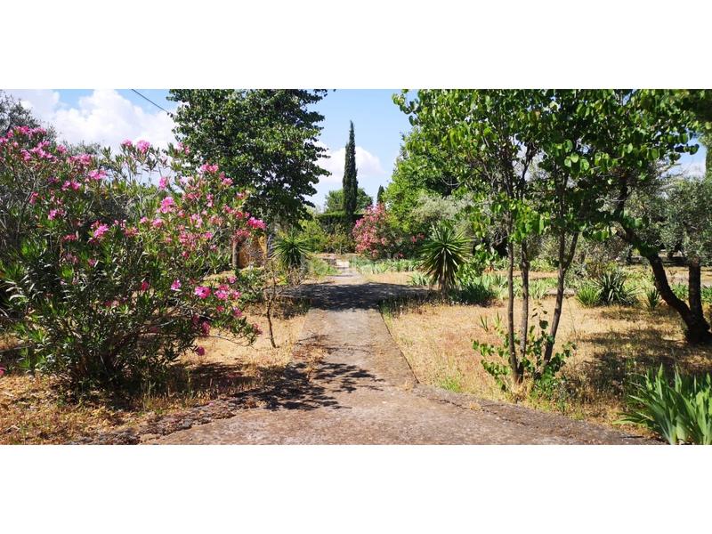 Foto 3ea1e30d-8871-442a-aca4-3ff783024a55. Masia a Arriate