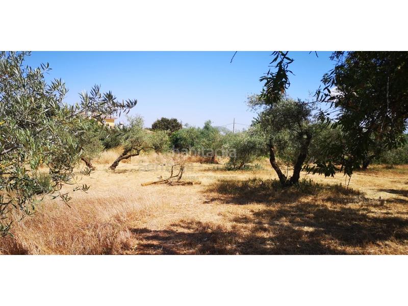 Foto 3fb113a0-feee-457e-88d8-11e9a6f0e23a. Masia a Arriate