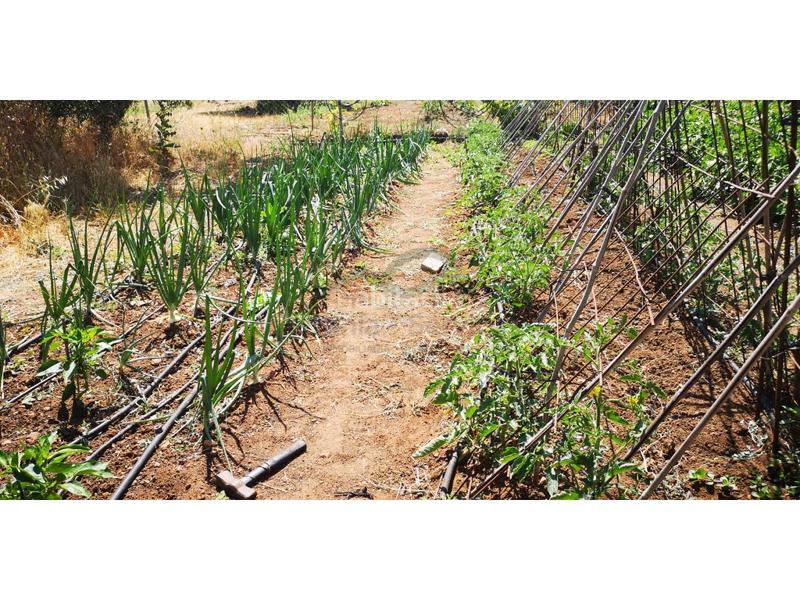 Foto 5b0d72ea-8a3f-4f32-a590-1841aa862d93. Masia a Arriate