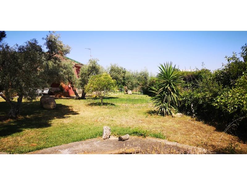 Foto aa31f9b8-eac3-45cb-8534-30f2d425d2f6. Masia a Arriate