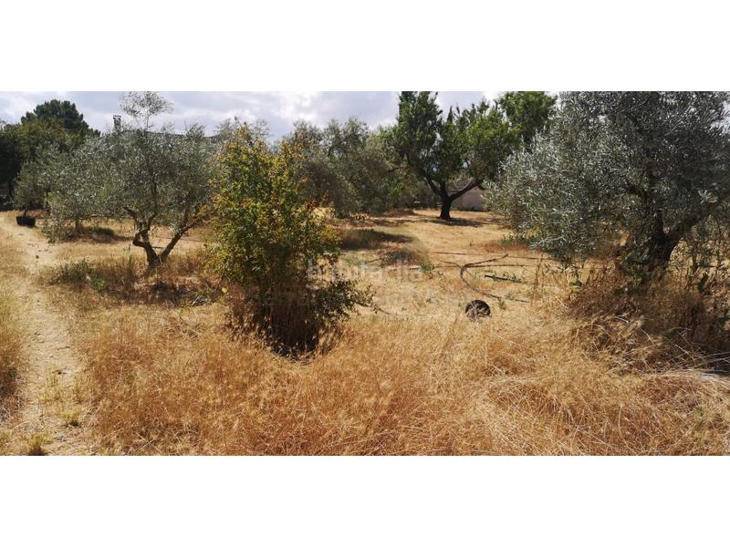 Foto c0c0d8d1-dbb7-43a2-a695-fa0480834369. Masia a Arriate