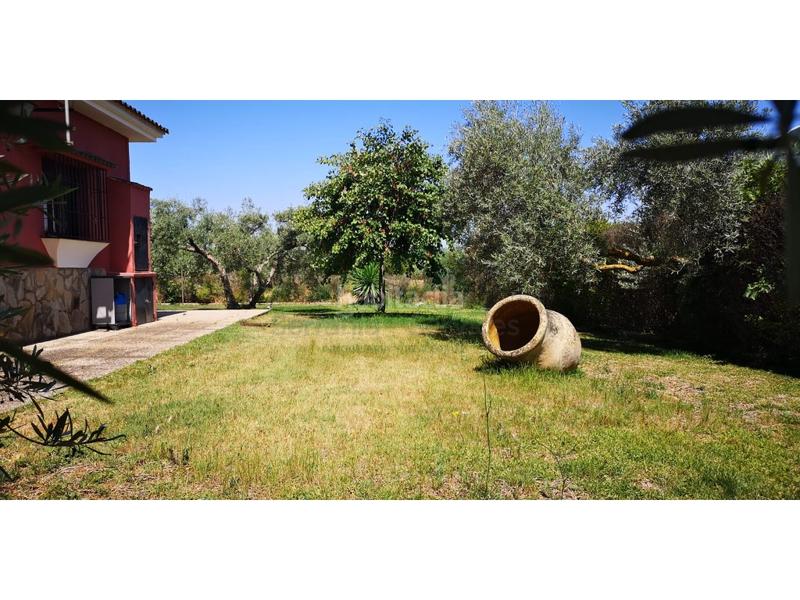 Foto d0c2a32a-12d7-44b5-b098-718d8f872286. Masia a Arriate