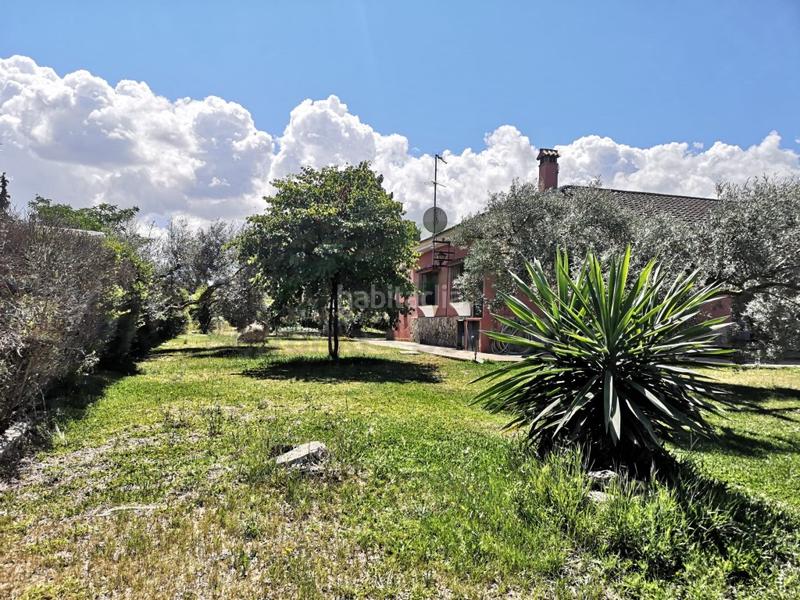 Foto d180804c-2f9f-4573-994a-17cd146c6f60. Masia a Arriate