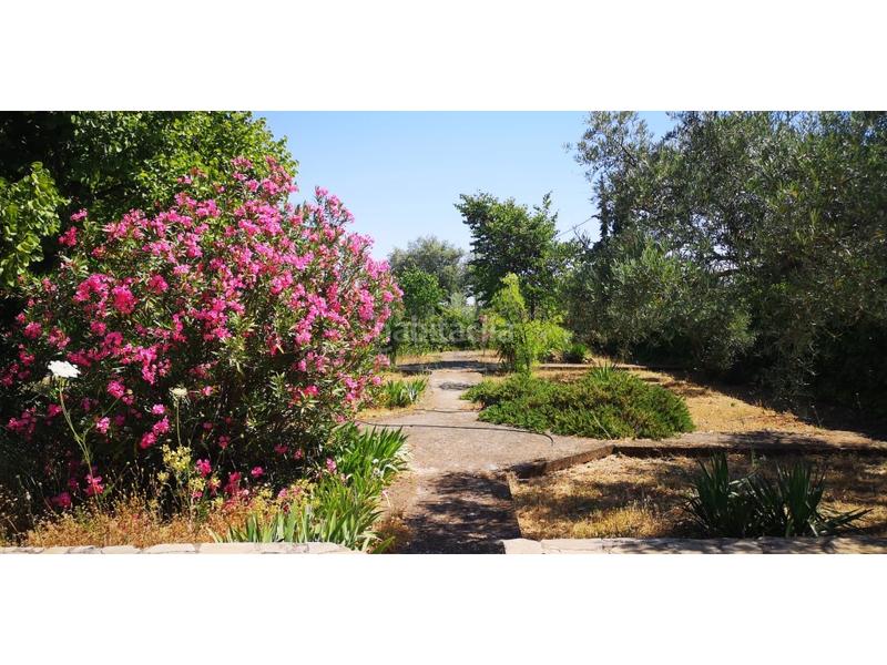 Foto e72c7424-c8ba-4eca-a71a-a5c58f6de946. Masia a Arriate