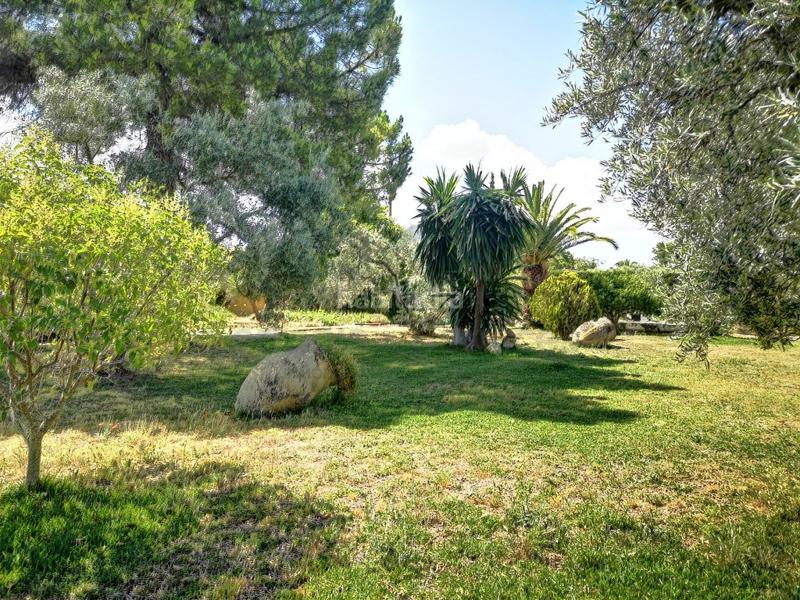 Foto ee4b4dad-c8ac-4d90-8369-c69a52f1a427. Masia a Arriate