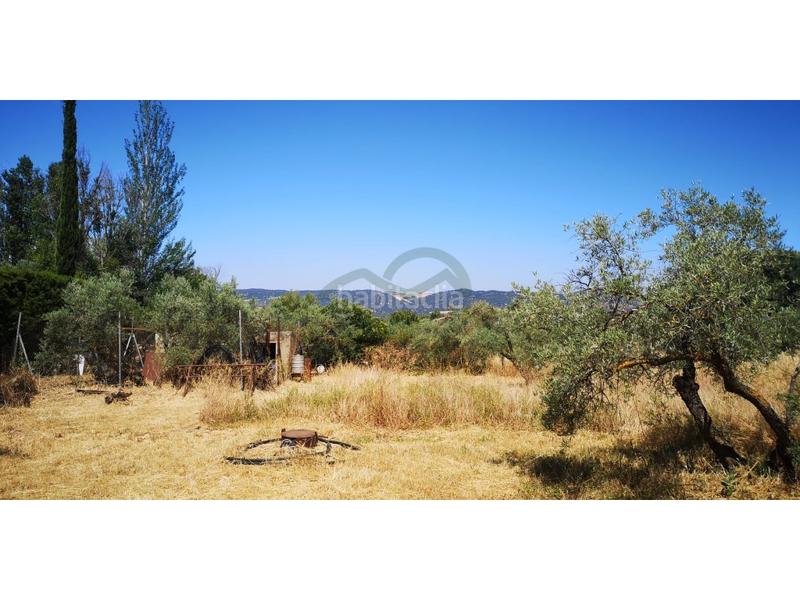 Foto fbe3a803-15e8-4802-946a-9ca2f4332877. Masia a Arriate