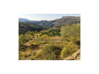 Masia a Atajate. Finca rústica de almendros, higueras y olivar, buena ubicación