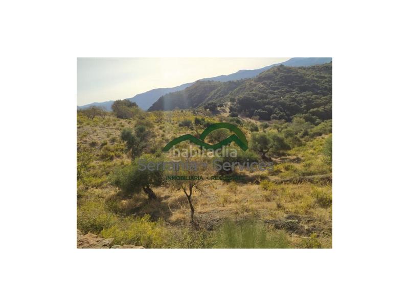 Foto 14b15308-9eb7-4cd8-9f76-75f59e411d7e. Casa terreno rústica de almendros, higueras y olivar, buena ubicación en Atajate