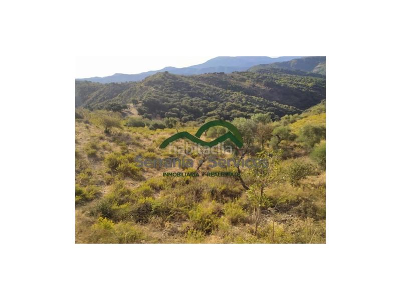 Foto 23634f7f-7d08-49c7-a2fe-7a1bd9504abd. Casa terreno rústica de almendros, higueras y olivar, buena ubicación en Atajate