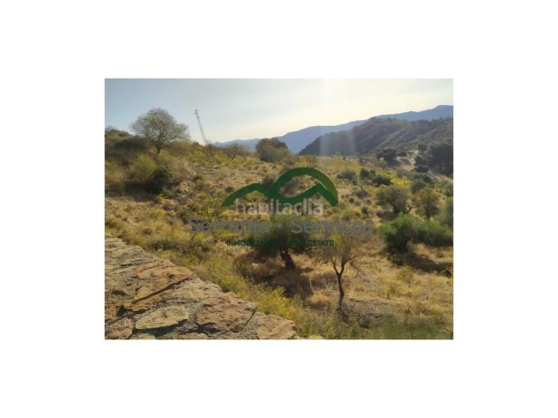 Foto 2b515768-294b-49d6-9c04-dcde46d0c21d. Casa terreno rústica de almendros, higueras y olivar, buena ubicación en Atajate